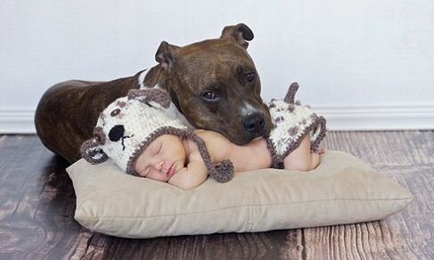 Ein Kind mit einem Hund