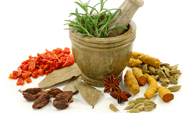 Methoden zur Behandlung von Parasiten im Körper